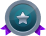 Silver medal